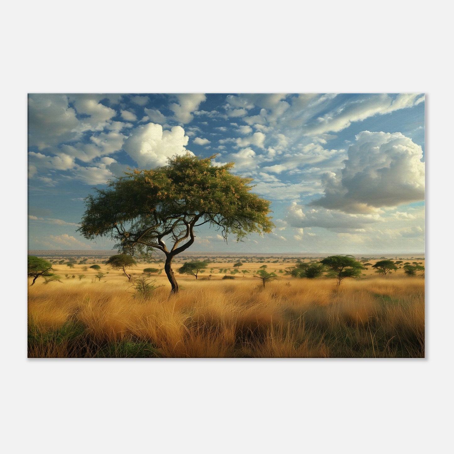 84cb61ba-553d-41e2-9abd-cd214b5b6220