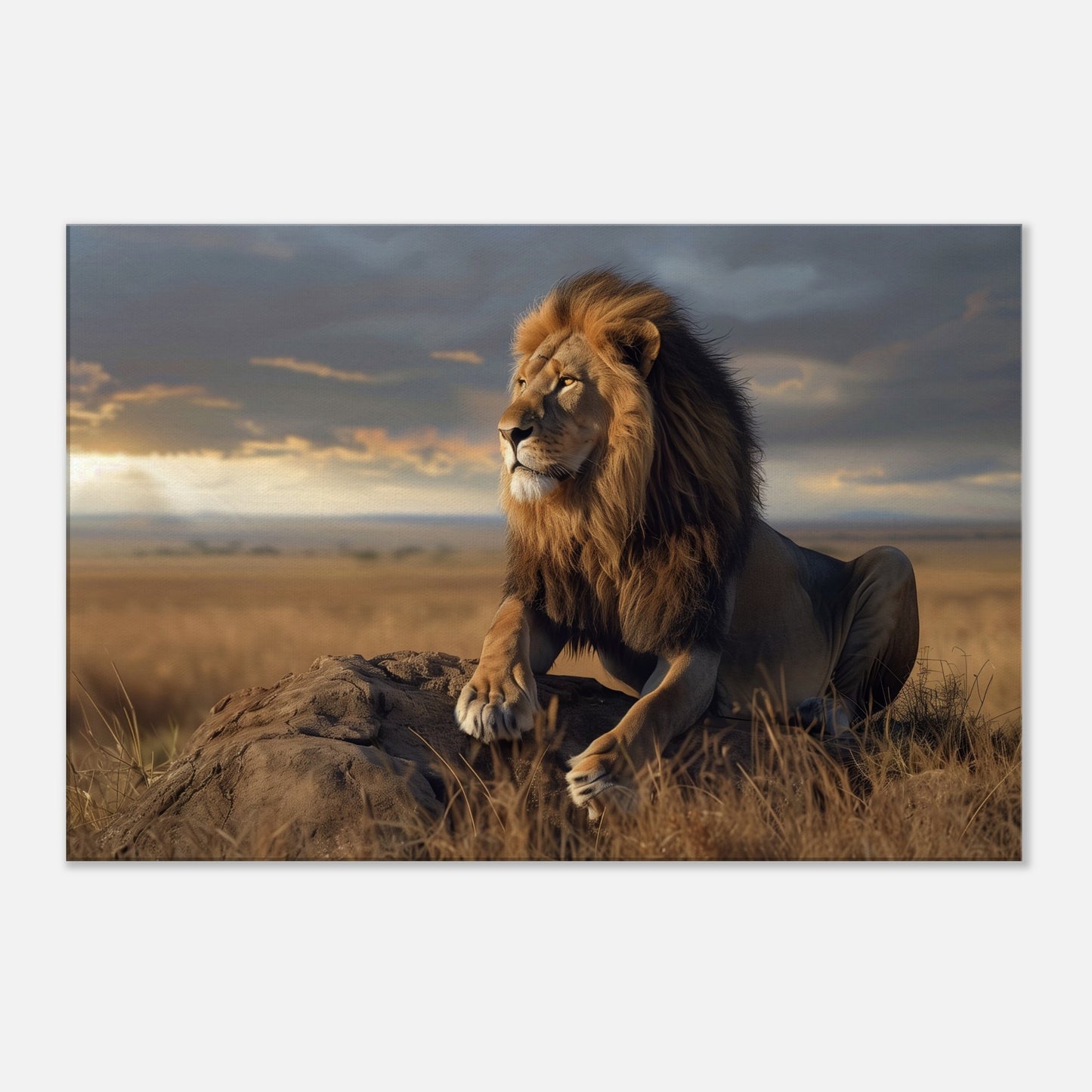 dce30e2f-e5d5-4e63-9217-446ed834b301